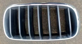 7316076 Решетка радиатора BMW X6 F16 Арт e9625203, вид 1