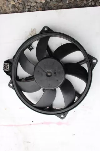 214810898R Вентилятор радиатора Renault Megane 3 Арт e9642531, вид 1