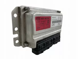 0261206702 Блок управления двигателем Kia Shuma 2 Арт e9676436, вид 1