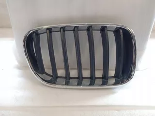 7237422 7210726 Решетка радиатора BMW X3 F25 Арт e10044356, вид 1