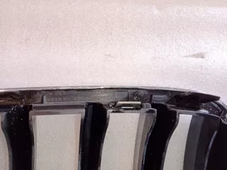 7237422 7210726 Решетка радиатора BMW X3 F25 Арт e10044356, вид 2