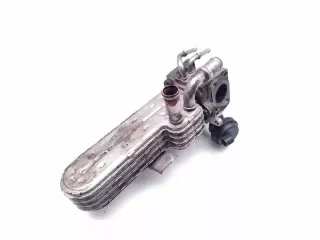 038131513AD 3210275 Клапан EGR Seat Leon 3 Арт e10050931, вид 1