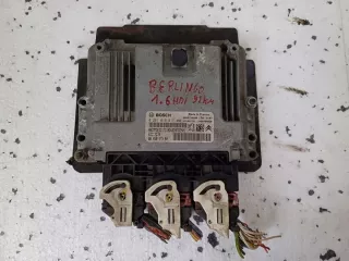 0281019817 Блок управления двигателем Citroen Berlingo 2  Арт e10119426, вид 1