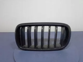 7316076 7316075 Решетка радиатора BMW X5 F15 Арт e10389852, вид 1