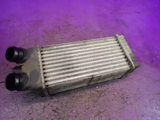 9645965180A Интеркулер Citroen Berlingo 1 Арт e10430147, вид 1