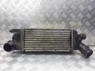 9645682880 Интеркулер Citroen C5 2 Арт e10474097, вид 1