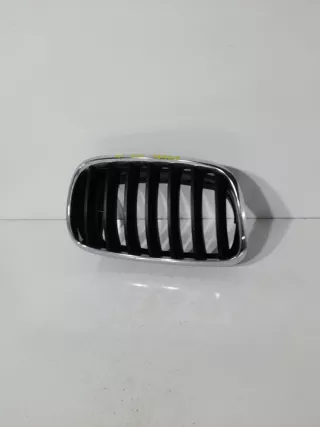 51137171396 Решетка радиатора BMW X5 E70 Арт e10492362, вид 1