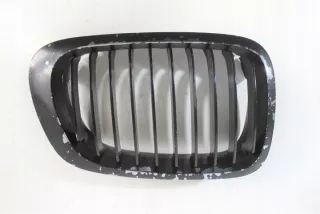 8208668 Решетка радиатора BMW 1 E81/E82/E87/E88 Арт e10568724, вид 1