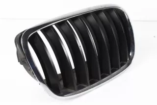 7157688 51137157688 Решетка радиатора BMW X5 E70 Арт e10573069, вид 2