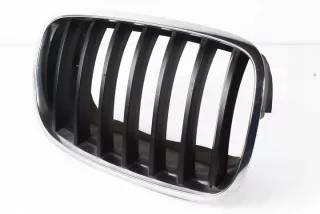 7157688 51137157688 Решетка радиатора BMW X5 E70 Арт e10573069, вид 3