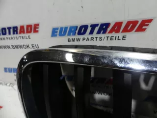 7171396 Решетка радиатора BMW X6 E71/E72 Арт e10573170, вид 4