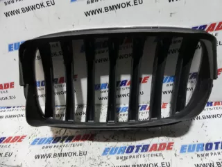 7171396 Решетка радиатора BMW X6 E71/E72 Арт e10573170, вид 5