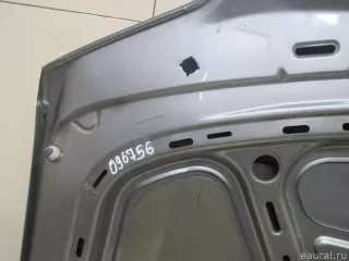 3B0823031K VAG Капот Volkswagen Passat B5 Арт E81096756, вид 11
