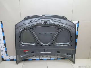 3B0823031K VAG Капот Volkswagen Passat B5 Арт E81096756, вид 8