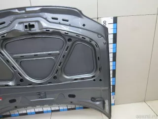 3B0823031K VAG Капот Volkswagen Passat B5 Арт E81096756, вид 9