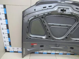 3B0823031K VAG Капот Volkswagen Passat B5 Арт E81096756, вид 10