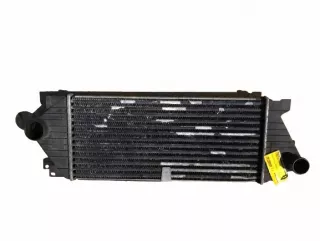 A9015010701 Интеркулер Mercedes Sprinter W901-905 Арт e10589052, вид 1