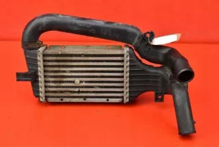 09129519DX Интеркулер Opel Astra G Арт e10590189, вид 1