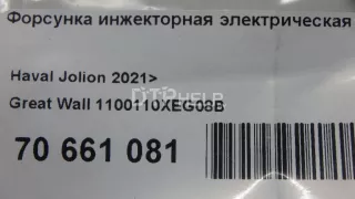 1100110XEG08B Форсунка инжекторная электрическая Haval Jolion Арт AM70661081, вид 9