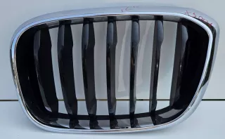 7478669 Решетка радиатора BMW X3 G01 Арт e12673667, вид 2