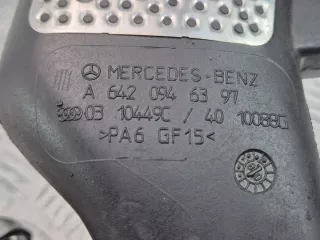 A6420946397 Гофра инжектора Mercedes CLS C219 Арт e12673589, вид 11