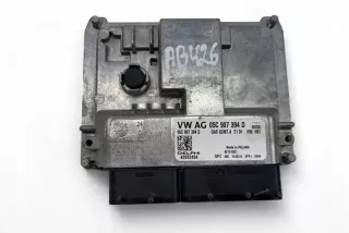 05C907394D 31058584 Блок управления двигателем Skoda Fabia 3 Арт e12653306, вид 1