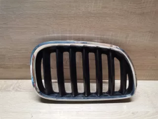 7124816 Решетка радиатора BMW X5 E53 Арт e12615111, вид 1