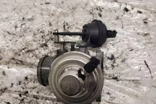 038129637 Клапан EGR Volkswagen Passat B5 Арт e12614335, вид 2
