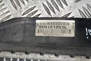 8E0121251L Радиатор (основной) Audi A4 B7 Арт e12592194, вид 1
