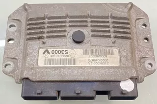8200242405 21584029-7A Блок управления двигателем Renault Megane 2 Арт e12590392, вид 1