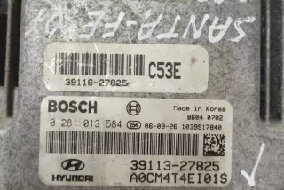 0281013584 Блок управления двигателем Hyundai Santa FE 2 (CM) Арт e12588812, вид 3