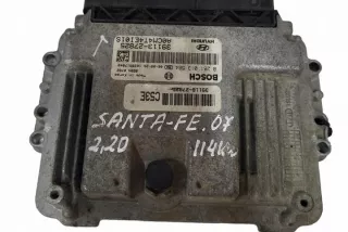 0281013584 Блок управления двигателем Hyundai Santa FE 2 (CM) Арт e12588812, вид 4