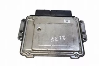 0281013584 Блок управления двигателем Hyundai Santa FE 2 (CM) Арт e12588811, вид 1