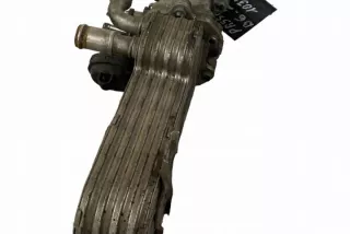 03G131513J Радиатор EGR Volkswagen Passat B6 Арт e12583320, вид 3