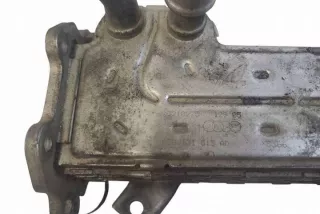 038131513AD Радиатор EGR Volkswagen Golf 4 Арт e12583224, вид 1