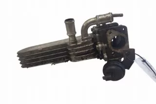 038131513D Радиатор EGR Volkswagen Golf 4 Арт e12583213, вид 6