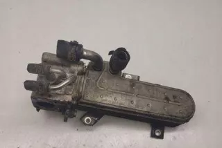 038131513D Радиатор EGR Volkswagen Golf 5 Арт e12583173, вид 1