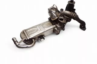 709720000 Радиатор EGR Volkswagen Caddy 3 Арт e12583111, вид 3
