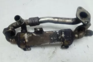 038131513C Радиатор EGR Ford Galaxy 1 Арт e12581107