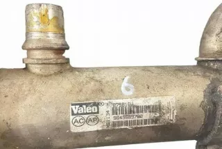 9645689780 Радиатор EGR Citroen C4 2 Арт e12580797, вид 3