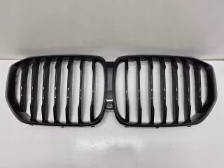 7454888 BHF848 Решетка радиатора BMW X5 G05  Арт e12560232, вид 1