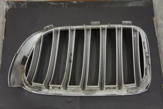 7210725 Решетка радиатора BMW X4 F26 Арт e12560220, вид 6