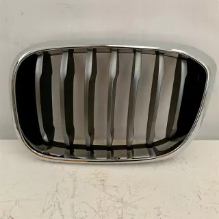 8074573 Решетка радиатора BMW X4 G02 Арт e12560219, вид 1