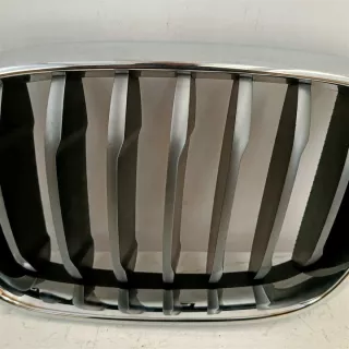 8074573 Решетка радиатора BMW X4 G02 Арт e12560219, вид 3
