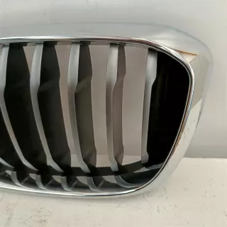 8074573 Решетка радиатора BMW X4 G02 Арт e12560219, вид 4