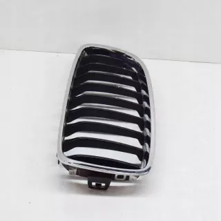 7294815 Решетка радиатора BMW 4 F32/F33/GT F36 Арт e12560116, вид 2