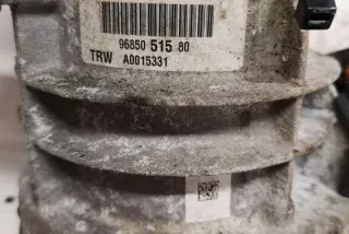 9685051580 Насос гидроусилителя руля Citroen C3 2 Арт e12533745, вид 1