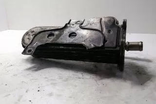 038131513AD Радиатор EGR Volkswagen Golf 5 Арт e12523986, вид 1