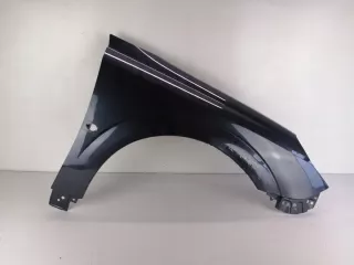 8765433456 Крыло переднее правое Opel Signum Арт e12516482, вид 4