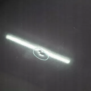 A2088800257 Капот Mercedes CLK W208 Арт e12510578, вид 11
